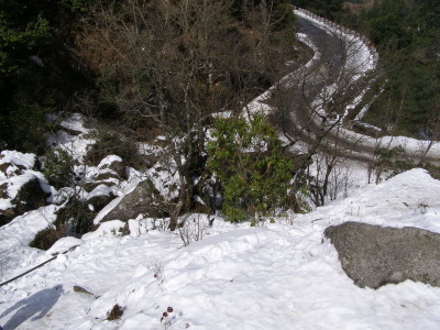 Road to Daman,Nepal